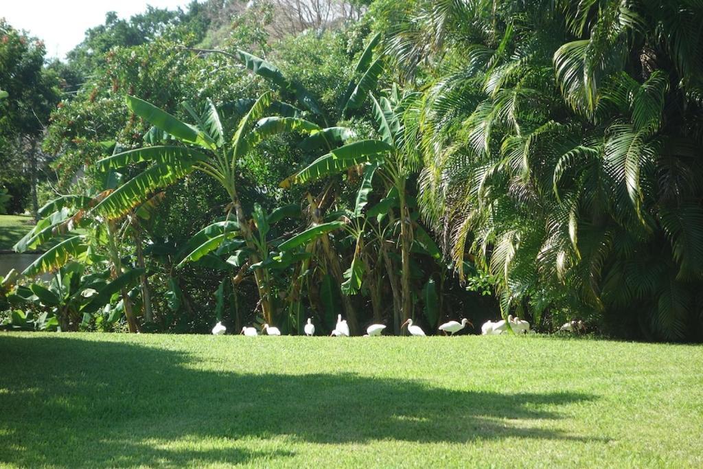 Pool Home With A New Sparkling Pool, Close To Beach, Lovely Lake View North Naples Eksteriør bilde
